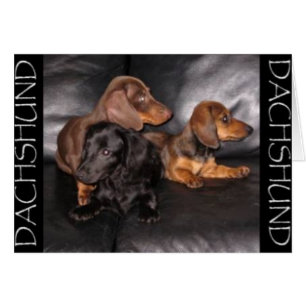 Regardez L'Autre Voie