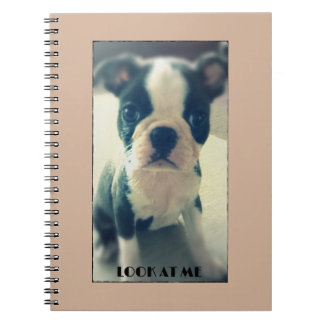 Regardez-moi carnet mignon de chien