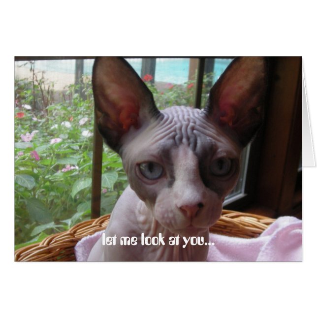 Regardez-vous (Devant horizontal)