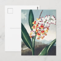 Regency Style White Yellow Exotic Floral Decor