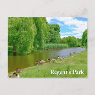 Regent's Park London Postcard