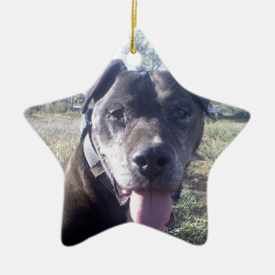 Reggie ornament