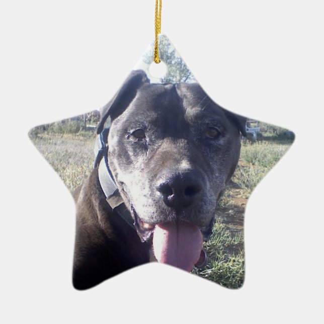 Reggie ornament (Front)
