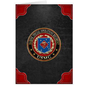 Régiment d'opérations spéciales maritimes (RSM)