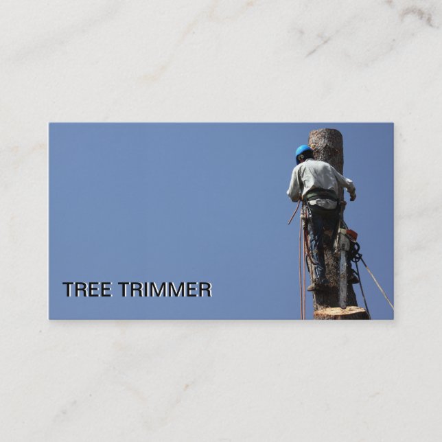 Règlage d'arbre/aménagement du modèle de carte de (Devant)