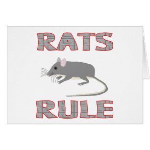 RÈGLE DE RATS