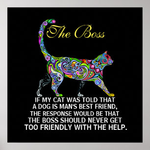Règle des chats - Le chef - Poster - srf