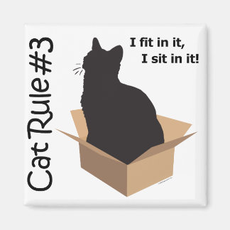 Règle no 3 du chat Magnets