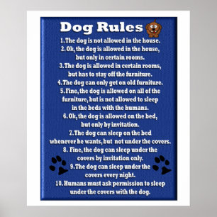 Règlement sur les chiens - Poster
