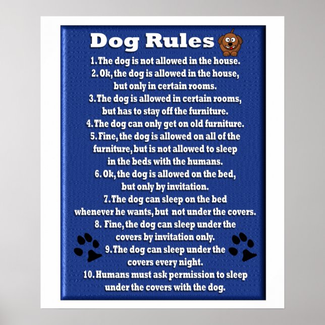 Règlement sur les chiens - Poster (Devant)