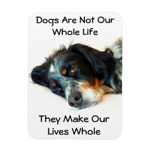 Régler l'amour Magnet photo