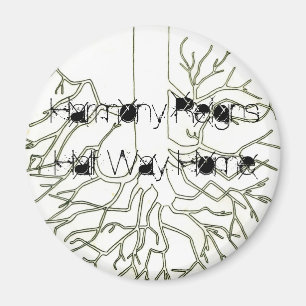 Règnes d'harmonie, à mi-chemin magnet