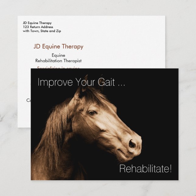 Rehabilitation Therapy Equine Specialist Appoint P Postcard (Front/Back)