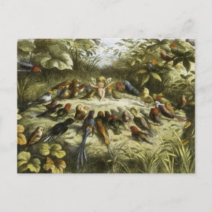 "Rehearsal in Fairyland" by Doyle - Postcard