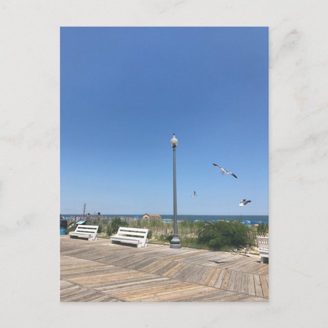 Rehoboth Beach Boardwalk Seagulls Sky Ocean Photo Postcard (Front)