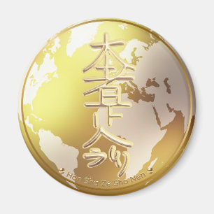 Reiki Remote Send Second Level Symbol Magnet