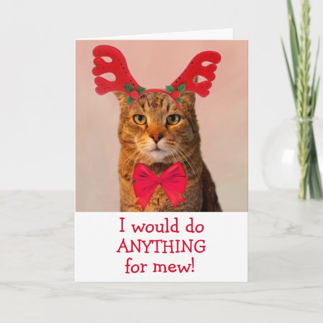 Reindeer Cat In Love Christmas Holiday Card (Front)