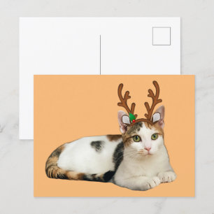 Reindeer Cleopatra Holiday Postcard