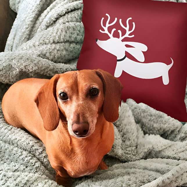 Reindeer Dachshund Pillow on Red (Dachshund Christmas Pillow - weendeer dachshund for wiener dog families!)