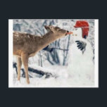 Reindeer Eating Snowman Postcard<br><div class="desc">Reindeer Eating Snowman's Carrot</div>