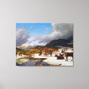 Reindeer Herd in the Mountains North of Røros  Canvas Print