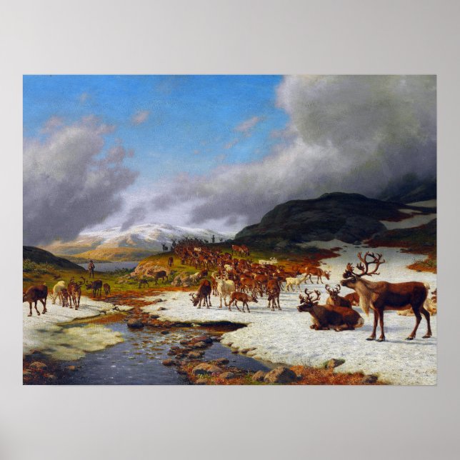 Reindeer Herd in the Mountains North of Røros Poster (Front)