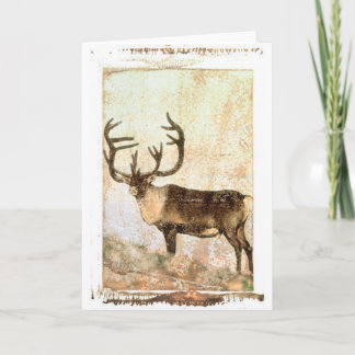 Reindeer Holiday Card