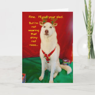 Reindeer Husky Holiday Card