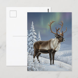 Reindeer in Lapland Finland Travel Postcard