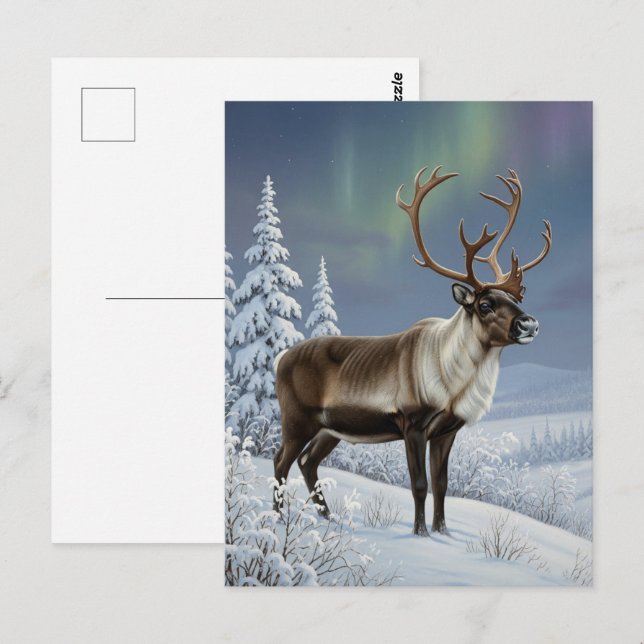 Reindeer in Lapland Finland Travel Postcard (Front/Back)