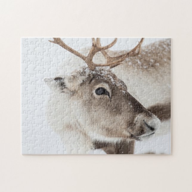 Reindeer in Snow Jigsaw Puzzle (Horizontal)