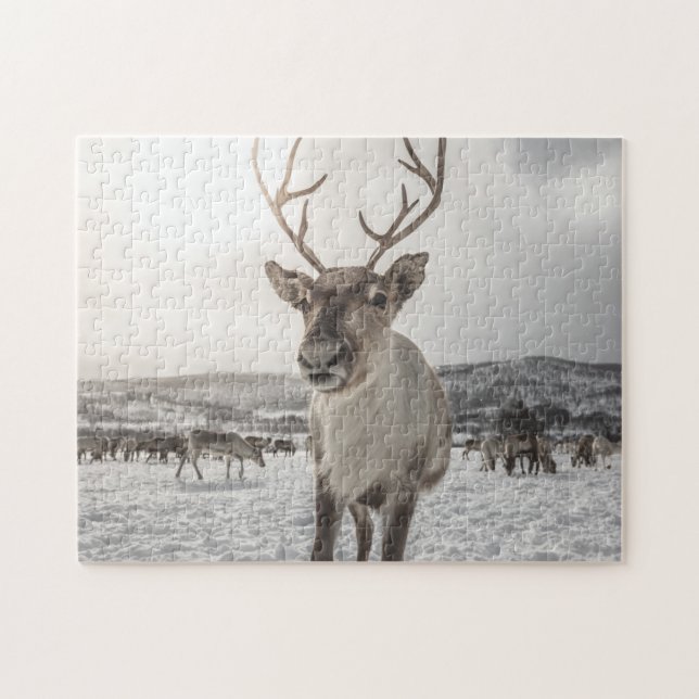 Reindeer Jigsaw Puzzle (Horizontal)