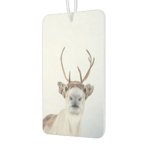 Reindeer Nature Photo Air Freshener