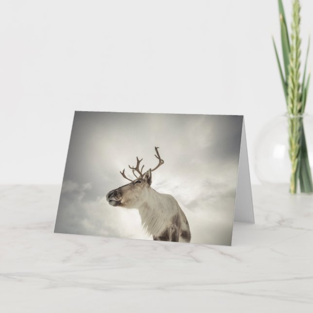 Reindeer Nature Photo Card (Front)
