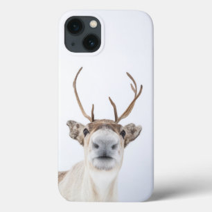 Reindeer Nature Photo iPhone 13 Case