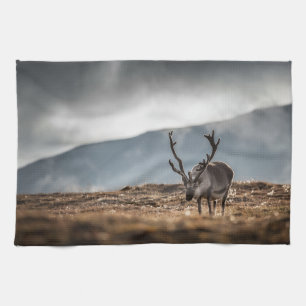 Reindeer Nature Photo Kitchen Towel