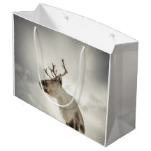 Reindeer Nature Photo