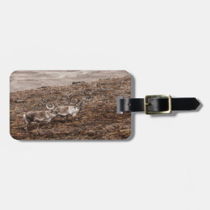 Reindeer Nature Photo Luggage Tag