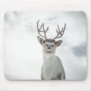 Reindeer Nature Photo Mouse Pad
