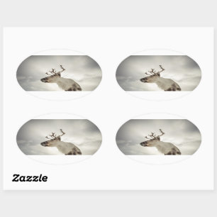 Reindeer Nature Photo Oval Sticker