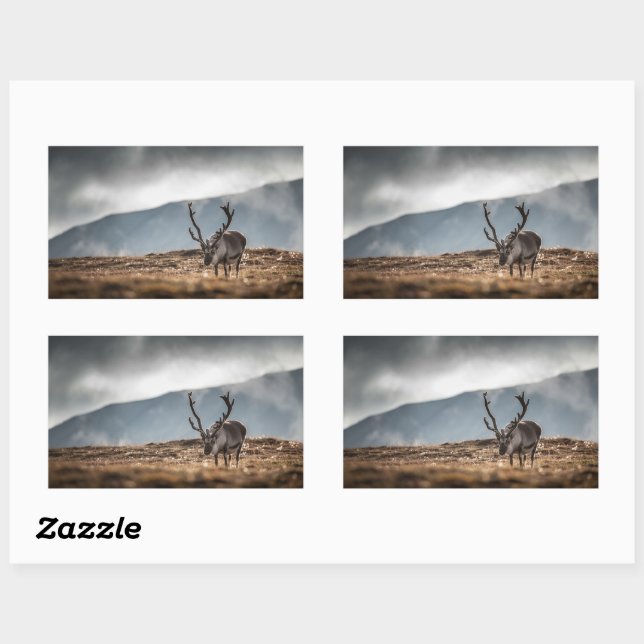 Reindeer Nature Photo Sticker (Sheet)
