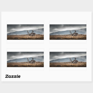 Reindeer Nature Photo Sticker