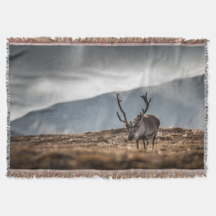 Reindeer Nature Photo Throw Blanket