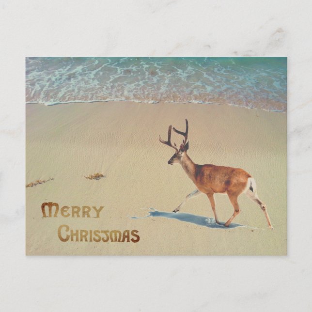 Reindeer on the beach surreal Merry Christmas Postcard (Front)