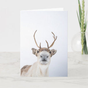 Reindeer Photo Card