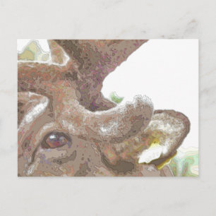 REINDEER POSTCARD