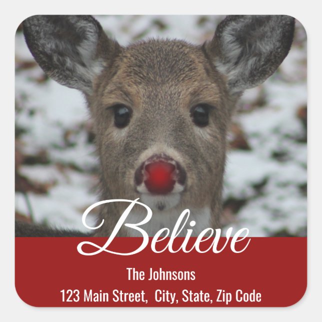 Reindeer Return Address Label | Believe (Front)