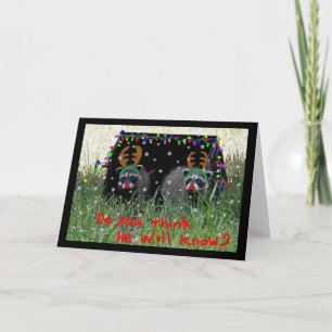 Reindeer wannabes Christmas Card