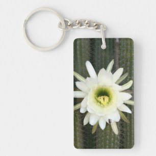 Reine de la Fleur de Cactus de Nuit, Région du Kar