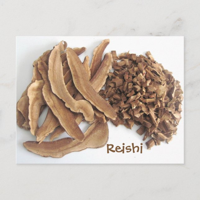 Reishi Mushroom Postcard (Front)